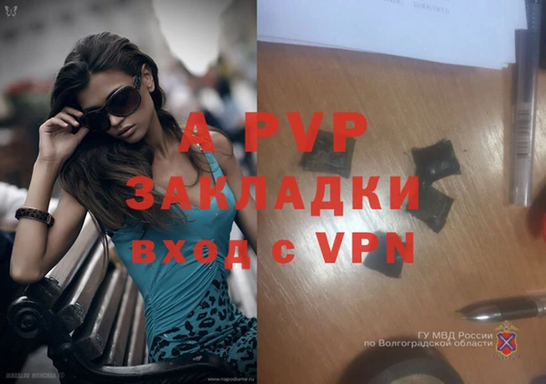 MESCALINE Богданович
