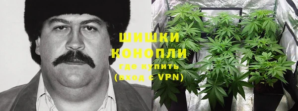 сатива Богородицк