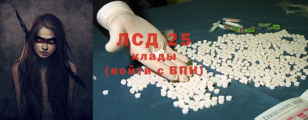 сатива Богородицк