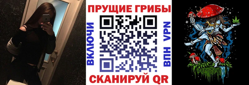 Галлюциногенные грибы Magic Shrooms  Кызыл 
